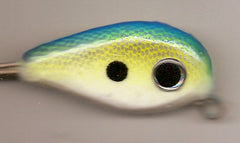 N-Seine 5-Wire Rigs - Citrus Shad